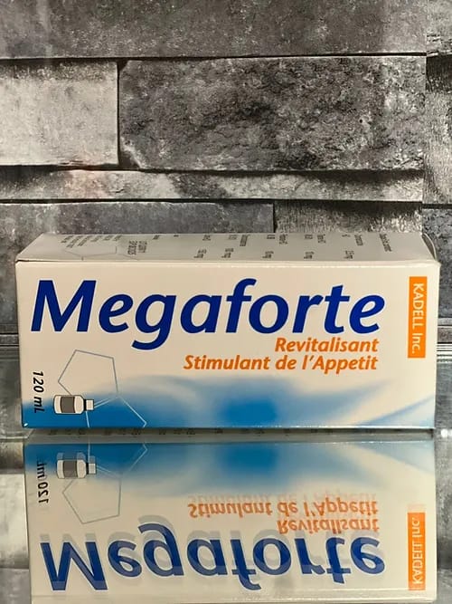 mega.webp mega